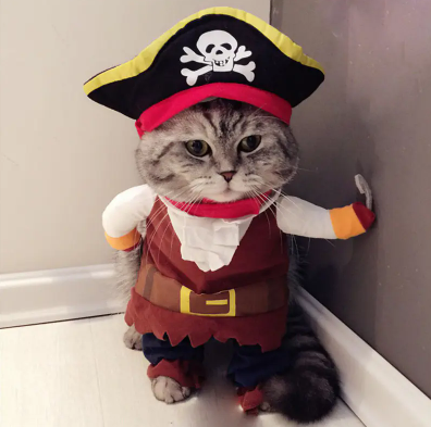 Costume Cat Pirate